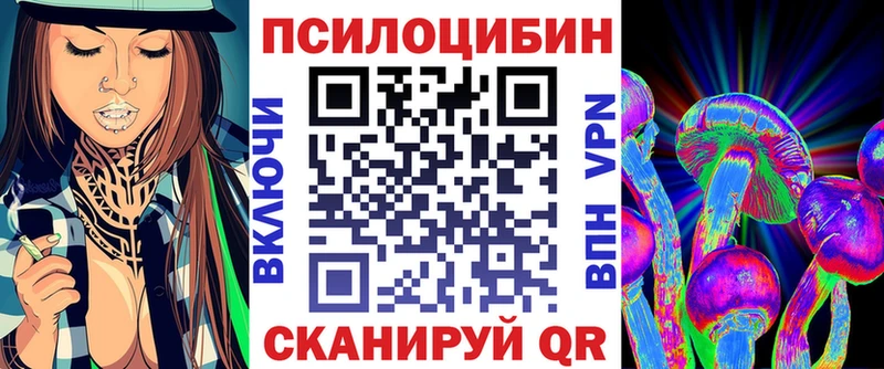 закладки  Сертолово  Псилоцибиновые грибы GOLDEN TEACHER 